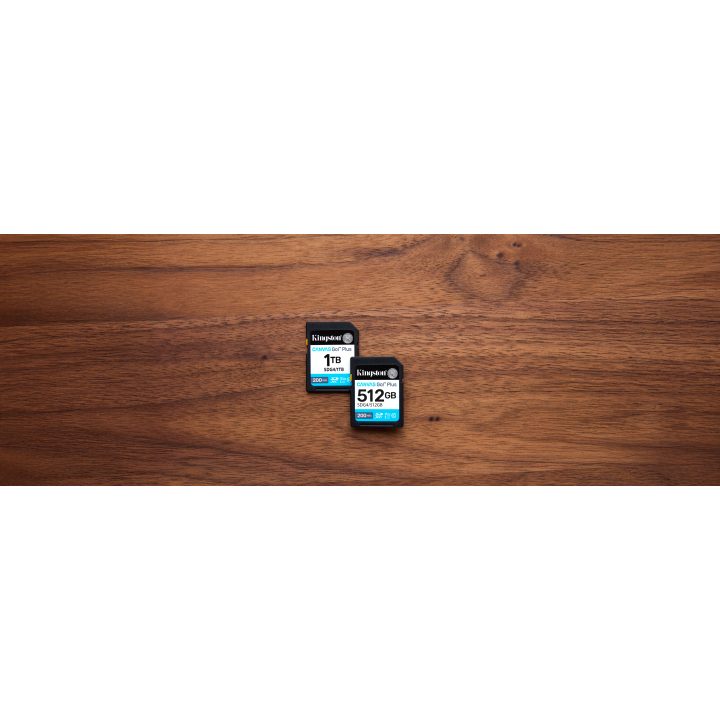 Kingston Technology Canvas Go! Plus 256GB SDXC Canvas Go Plus Gen4…