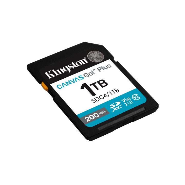 Kingston Technology Canvas Go! Plus 256GB SDXC Canvas Go Plus Gen4…