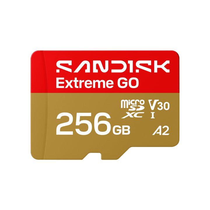 SanDisk Extreme GO 256 GB MicroSDXC UHS-I (SDSQXGN-256G-GN6MN)