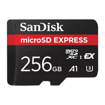 SanDisk Express 256 GB MicroSDXC UHS-I (SDSQXFN-256G-GN4NN)