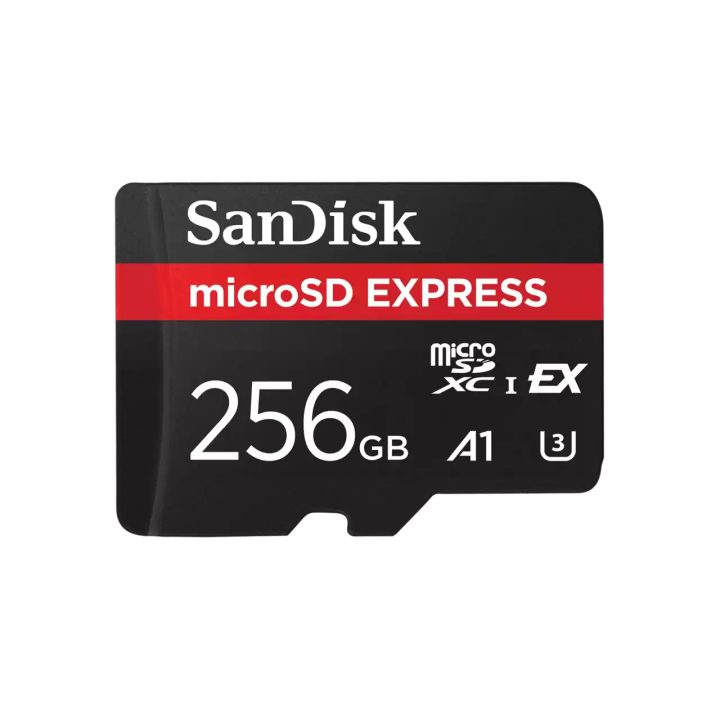 SanDisk Express 256 GB MicroSDXC UHS-I (SDSQXFN-256G-GN4NN)