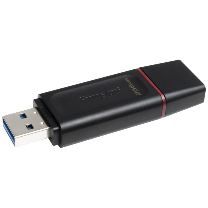 Kingston Technology DataTraveler Exodia USB 3.2 Flash Drive