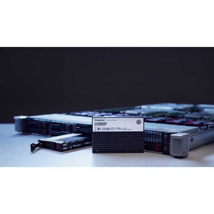 Kingston DC3000ME 3840 GB U.2 NVMe PCIe 5.0