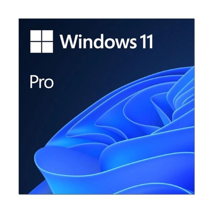 Microsoft Windows 11 Pro 64b ESD Operating System (FQC-10572)