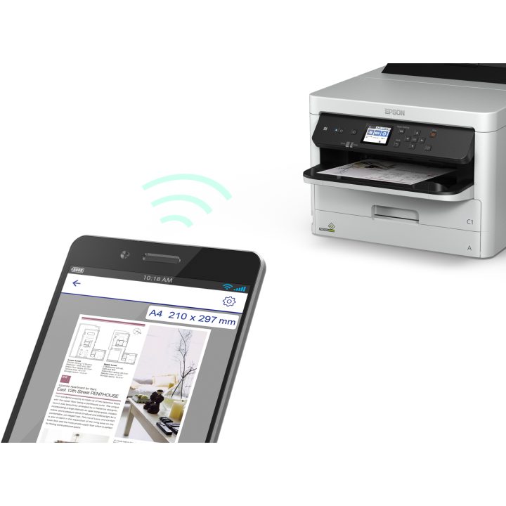 Epson DURABrite Pro