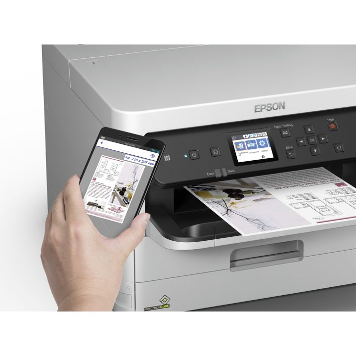 Epson DURABrite Pro