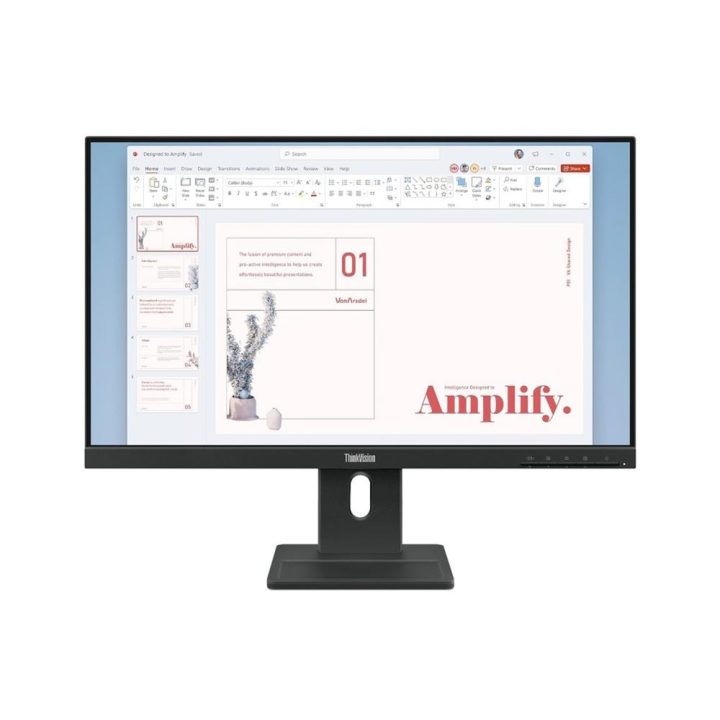 Lenovo ThinkVision E24-40 23.8" Full HD 100 Hz IPS