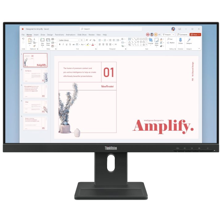 Lenovo ThinkVision E24-40 23.8" Full HD 100 Hz IPS