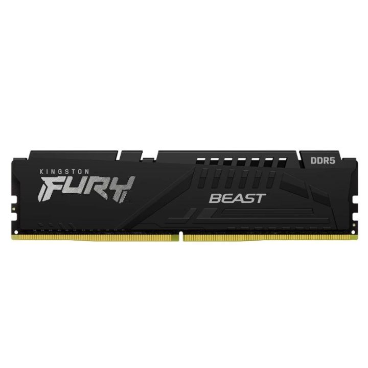 Kingston FURY Beast 16 GB DDR5 5600 MHz CL40 (KF556C40BB-16)