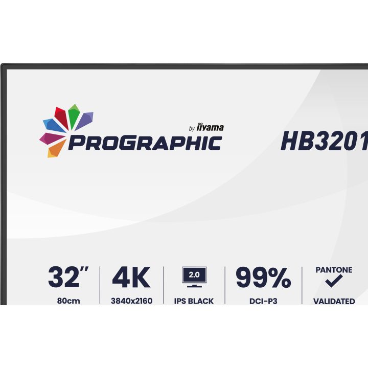 Monitor iiyama ProGraphic HB3201UHSNP-B1 31,5" 4K UHD IPS
