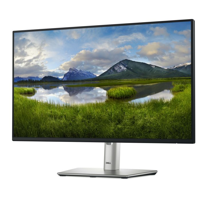 Dell Pro Plus P2425H 23.8" Full HD IPS