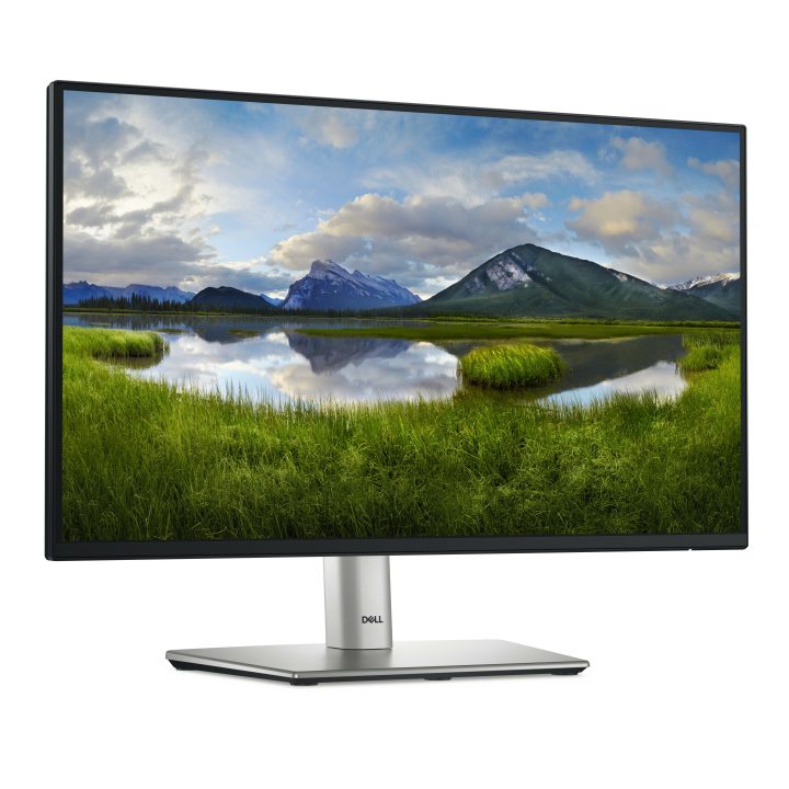 Dell P Series P2225H 21.5" Full HD 100 Hz IPS