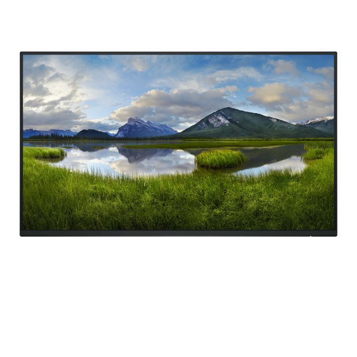 Dell Pro Plus P2425HE_WOST 24" Full HD 100 Hz IPS