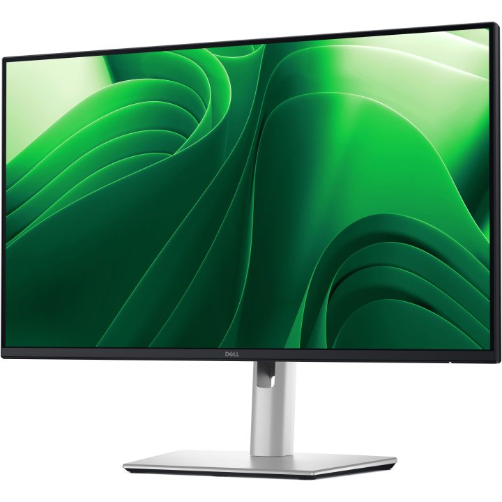 Monitor Dell Pro Plus P2425DE 24" QHD 100 Hz IPS