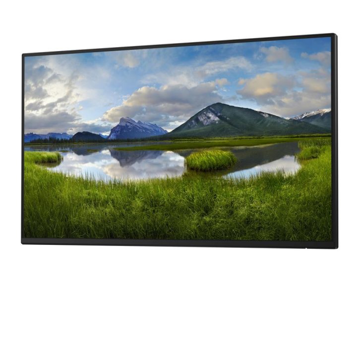 Dell Pro Plus P2425HE_WOST 24" Full HD 100 Hz IPS