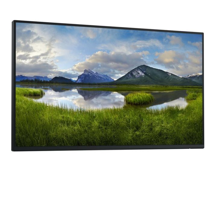 Dell Pro Plus P2425HE_WOST 24" Full HD 100 Hz IPS