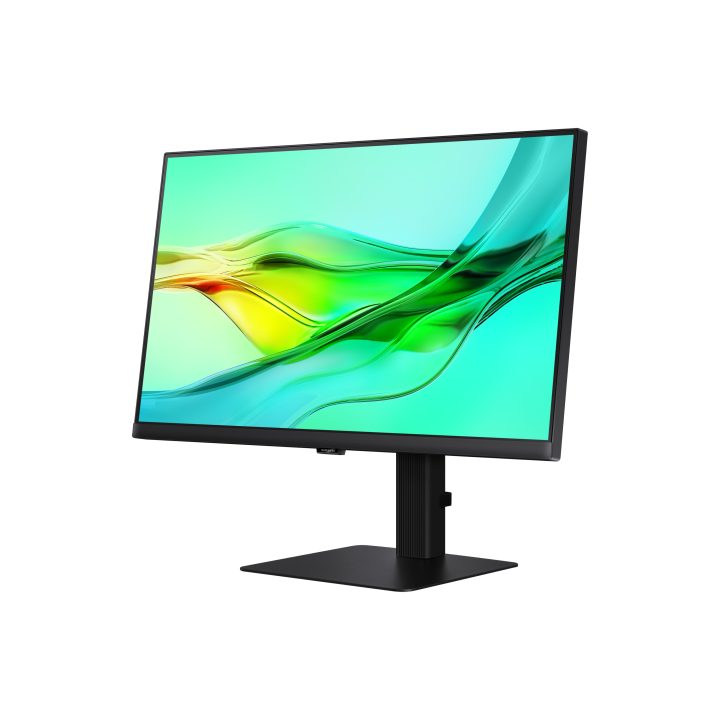 Samsung S60UD 24" QHD IPS