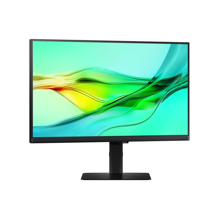 Samsung S60UD 24" QHD IPS