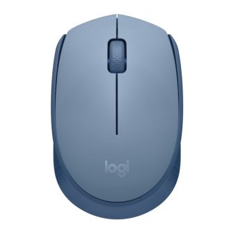 Logitech M171