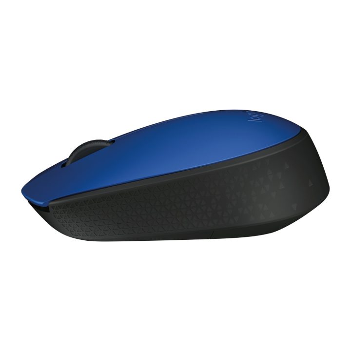 Logitech M171