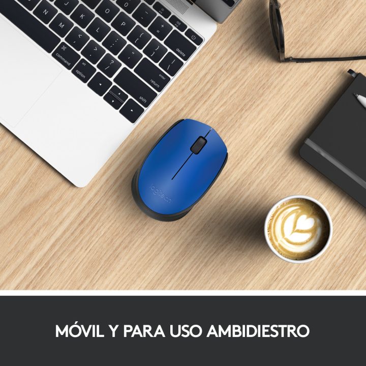 Logitech M171