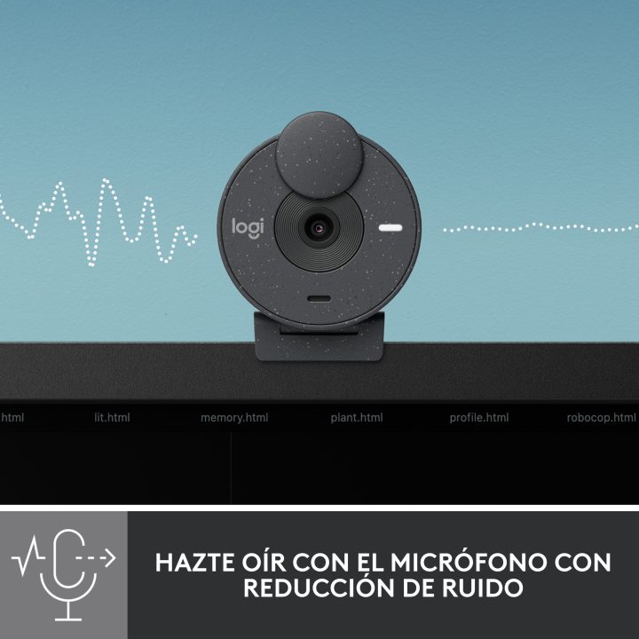 Logitech Brio 300