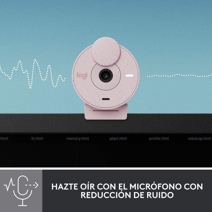 Logitech Brio 300