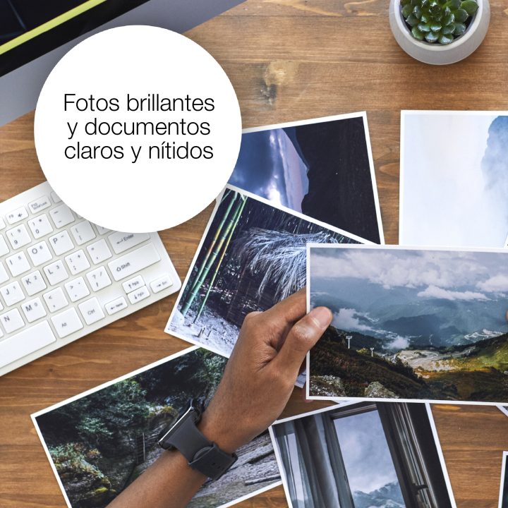 Epson Singlepack Yellow 502 Ink