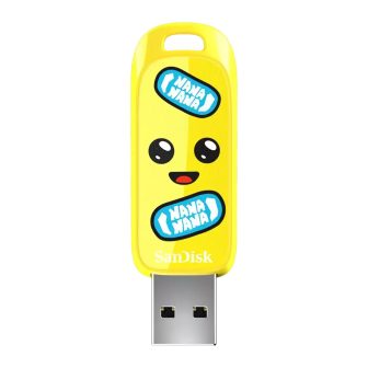 SanDisk SDCZIF-128G-G46 128 GB USB flash drive USB Type-A 3.2 Gen 1…