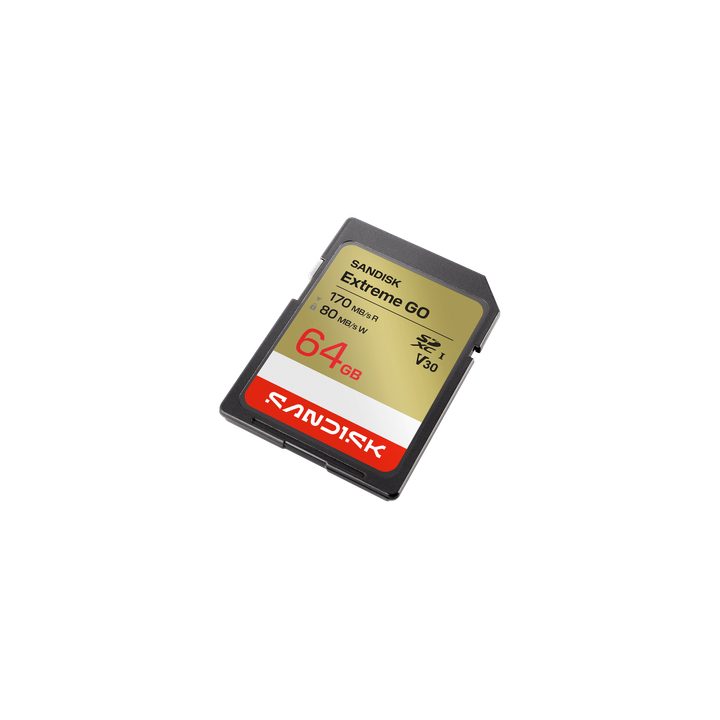 SanDisk extreme go SD 64g 64 GB SDXC (SDSDXGN-064G-GNCIN)