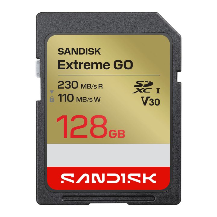 SanDisk extreme go SD 128g 128 GB SDXC (SDSDXGN-128G-GNCIN)