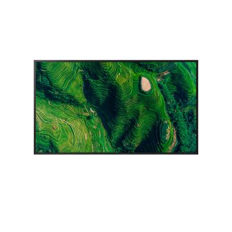 Sony 43" Class Diagonal BZ35P Series LED Backlit LCD Display -…