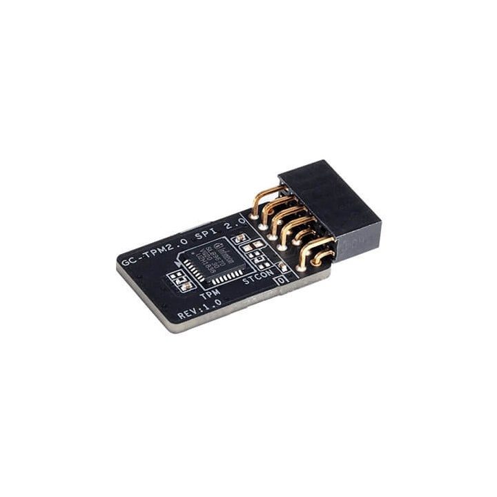 GIGABYTE GC-TPM2.0 SPI 2.0 módulo de plataforma de confianza (TPM)