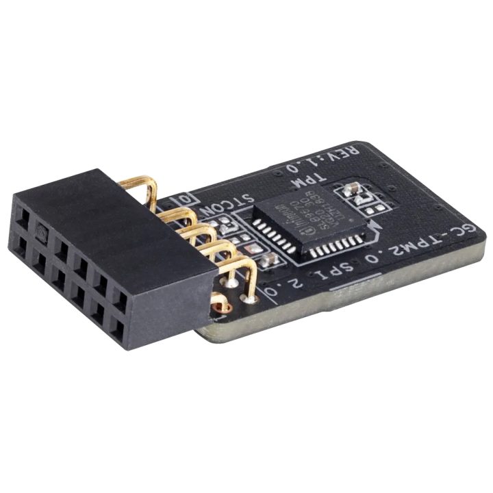 GIGABYTE GC-TPM2.0 SPI 2.0 Trusted Platform Module (TPM)