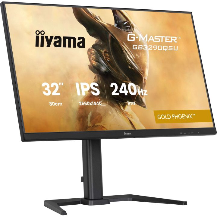 iiyama G-MASTER GB3290QSU-B1 32" QHD 240 Hz IPS