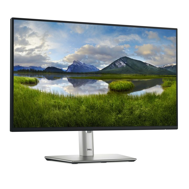 Dell Pro Plus P2425HE 23,8" Full HD IPS
