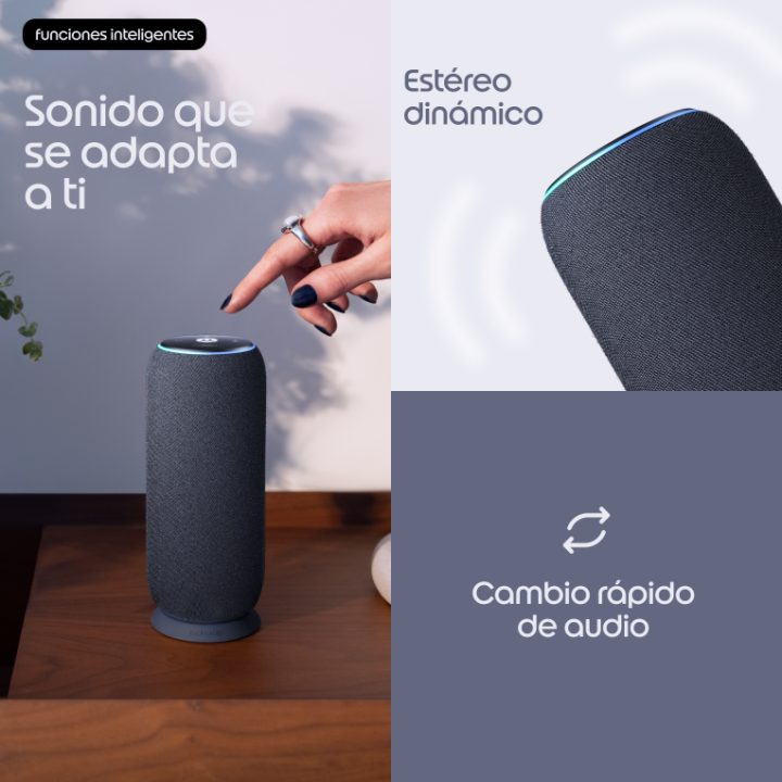 Motorola moto sound flow Portable Mono Speaker Carbon 30 W