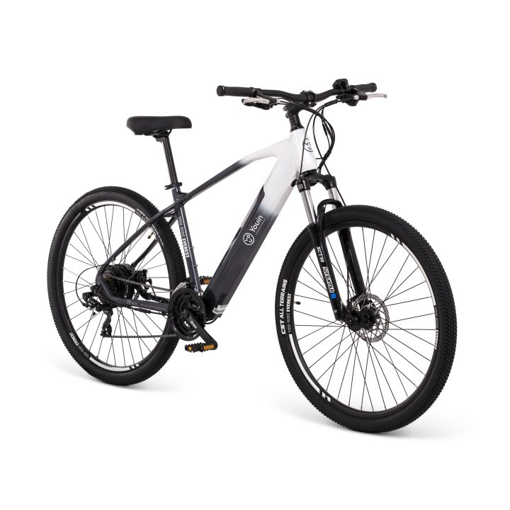 Youin Youride EVEREST2 29'' MTB - 14Ah/36V LG - 21V Derailleur - Size…