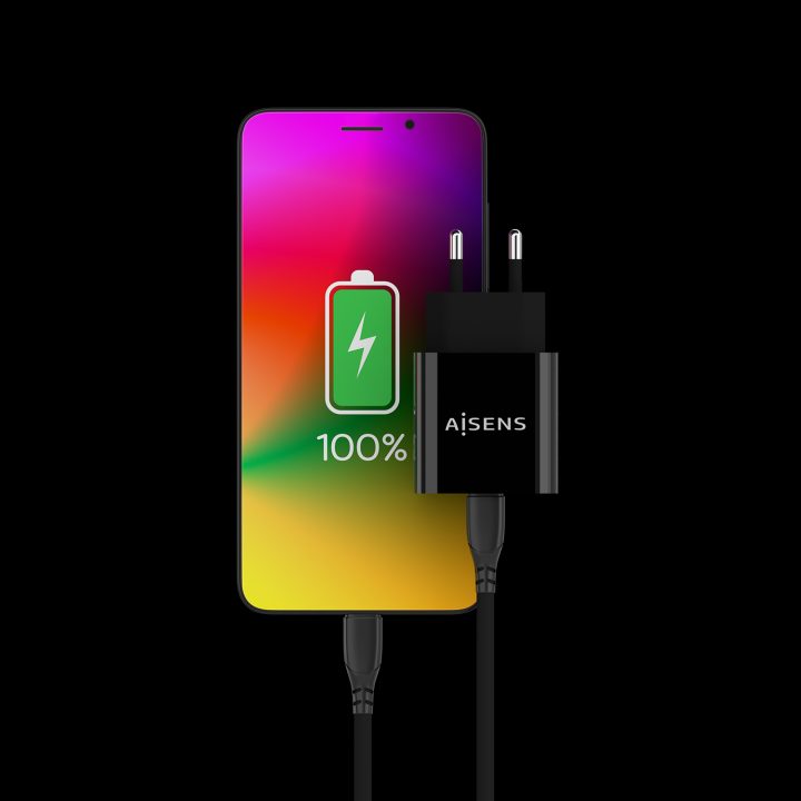 Carregador AISENS USB-C PD3.0 1 Porta 1x USB-C 20 W, Preto