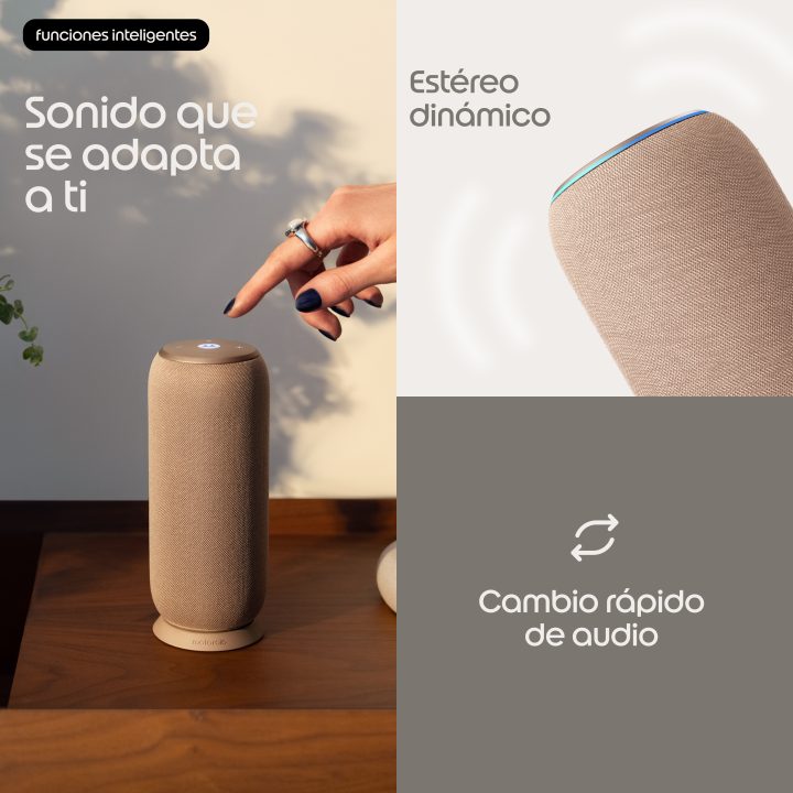Motorola moto sound flow Portable Mono Speaker Taupe Gray 30 W