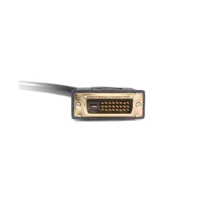 StarTech.com Cabo Duplicador Divisor de Vídeo DVI-D de 2 Portas de…