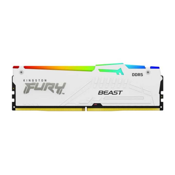 Kingston FURY Beast 16 GB DDR5 CL30 (KF560C30BWEA-16)
