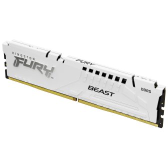 Kingston FURY Beast 16 GB DDR5 CL30 (KF560C30BWE-16)
