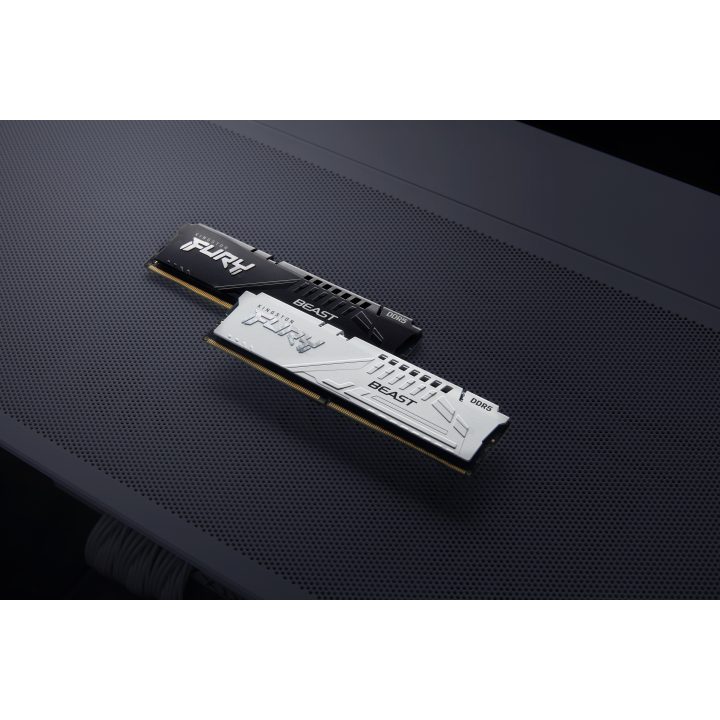 Kingston FURY Beast 16 GB DDR5 CL30 (KF560C30BWE-16)