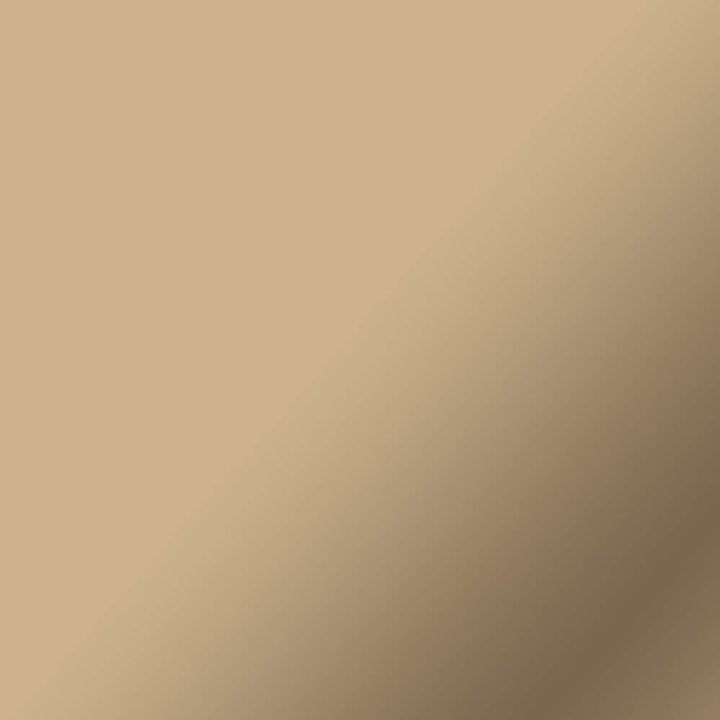 Cricut 2011610 Permanent Adhesive Vinyl Matte Champagne
