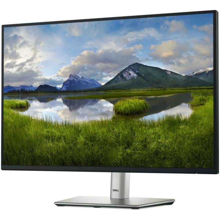 Dell Pro Plus P2425 24,1" WUXGA IPS