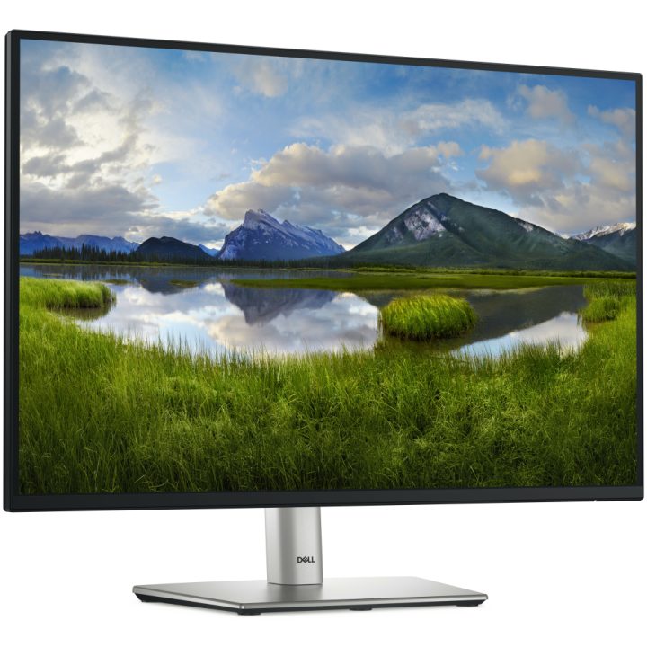 Dell Pro Plus P2425 24,1" WUXGA IPS