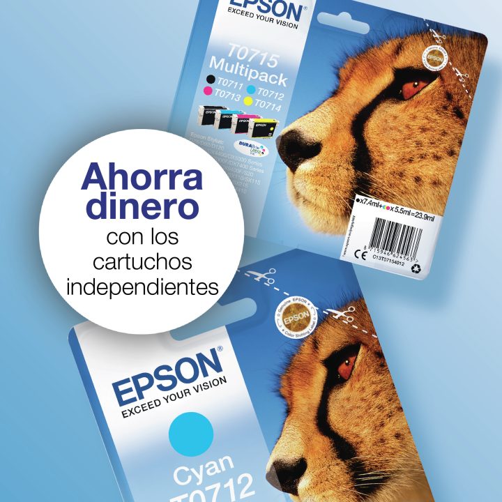 Epson Singlepack Magenta T0713 DURABrite Ultra Ink