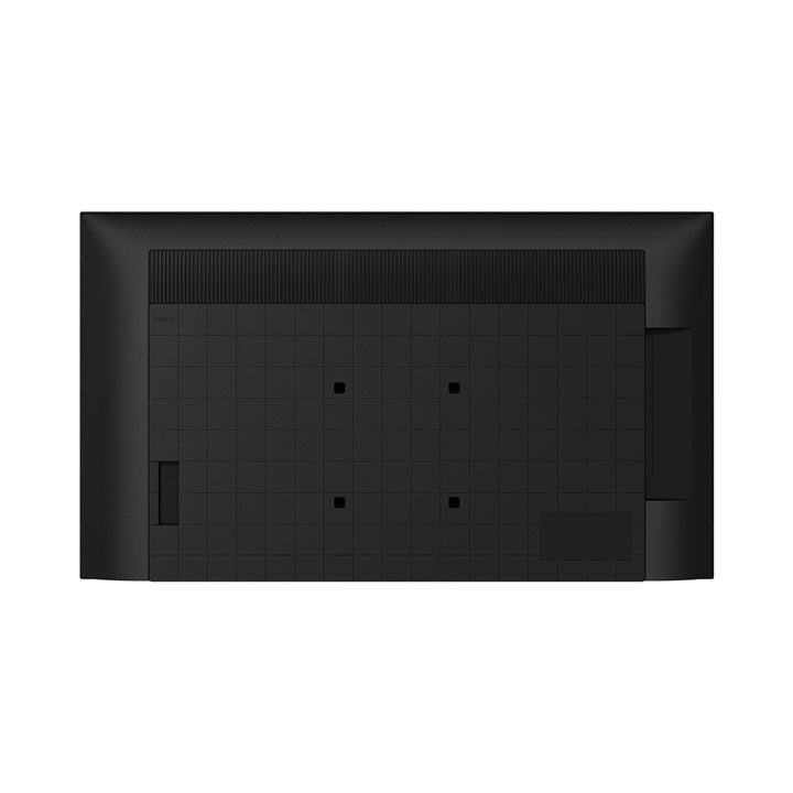 Sony Professional Bravia 55" 4K UHD IPS (FW-55EZ20L)