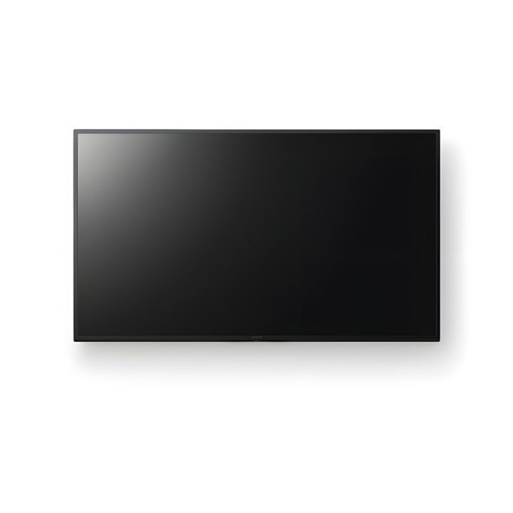 Sony Professional Bravia 55" 4K UHD IPS (FW-55EZ20L)